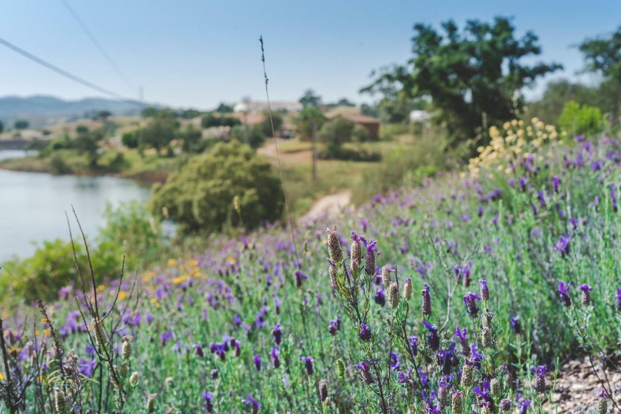 Figs On The Funcho Self Catering - A River Side Location Pedreiras  المظهر الخارجي الصورة